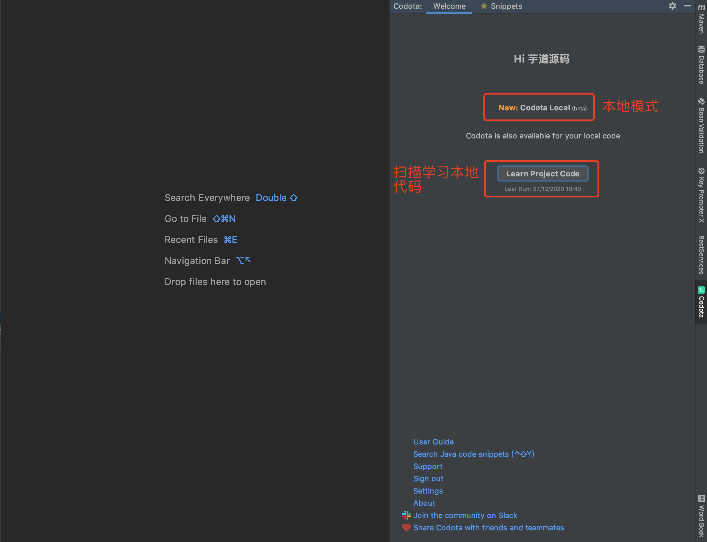 Codota 本地学习