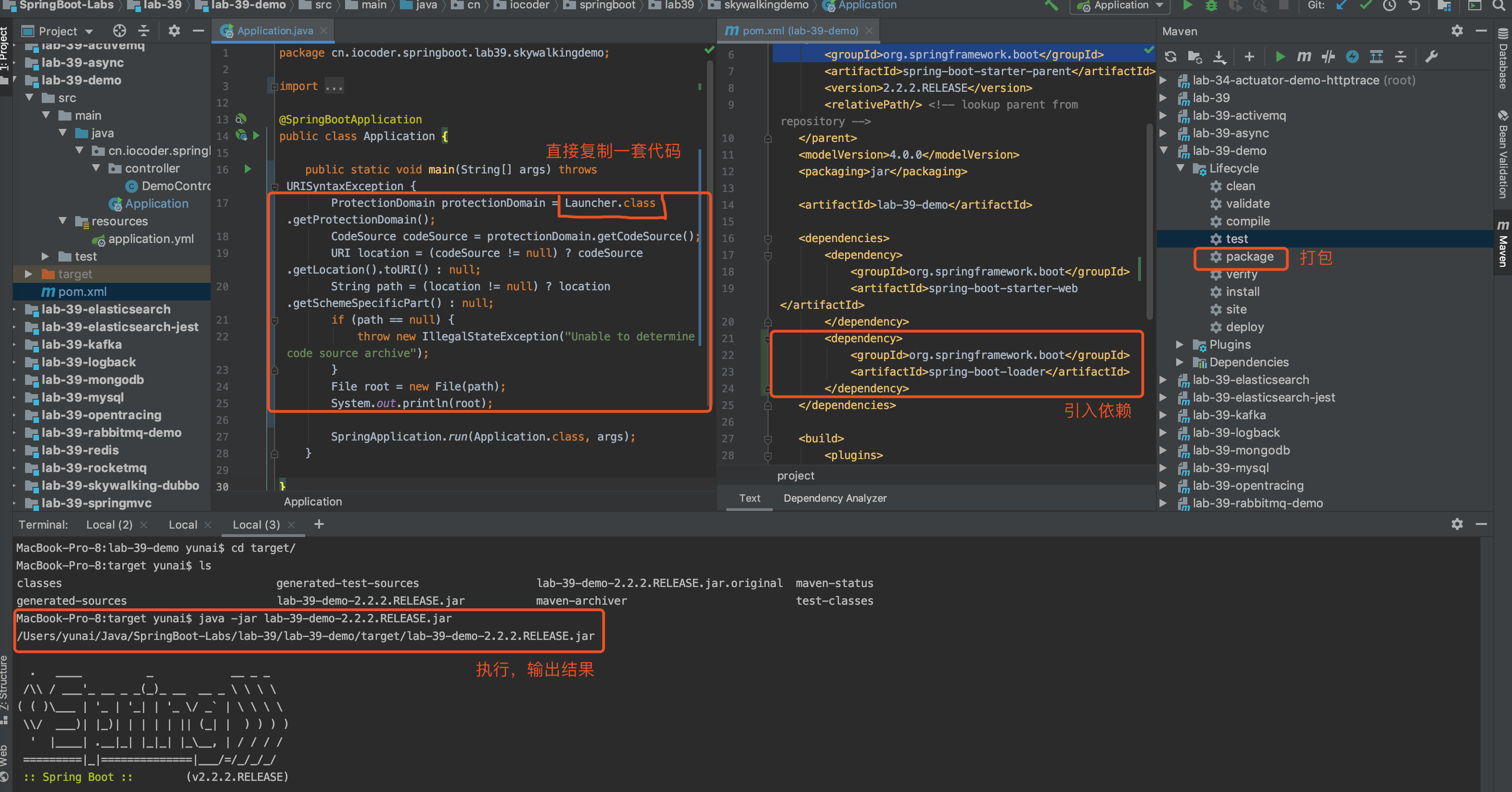 `root` 是什么！